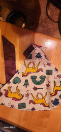 Doggie Bandanas for Dogs | Cute & Stylish Pet Bandanas in Different Designs